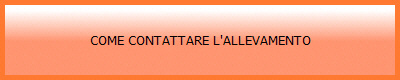 COME CONTATTARE L'ALLEVAMENTO
