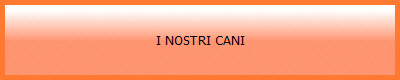 I NOSTRI CANI